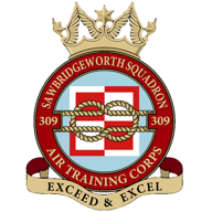 309 Squadron Crest